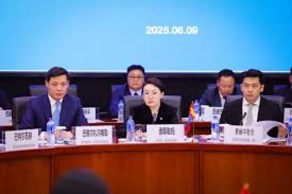 モンゴルと中国の合同国境委員会第6回会合が開催