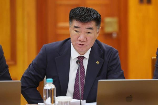 銅精鉱の製錬・加工プロジェクトに中国3社、スイス1社が投資意向