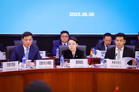 モンゴルと中国の合同国境委員会第6回会合が開催