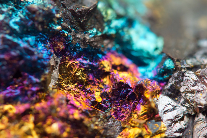 エネルギー・レアメタル分野で協力強化へ